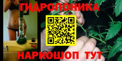 стаф Янаул