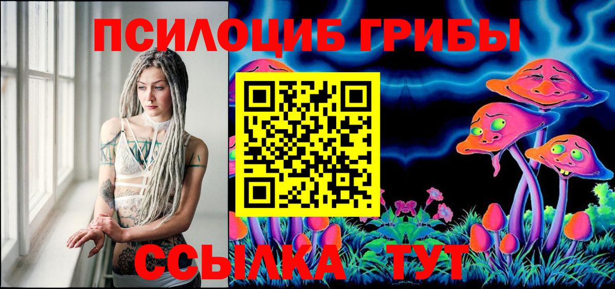 Псилоцибиновые грибы Psilocybe Белая Калитва