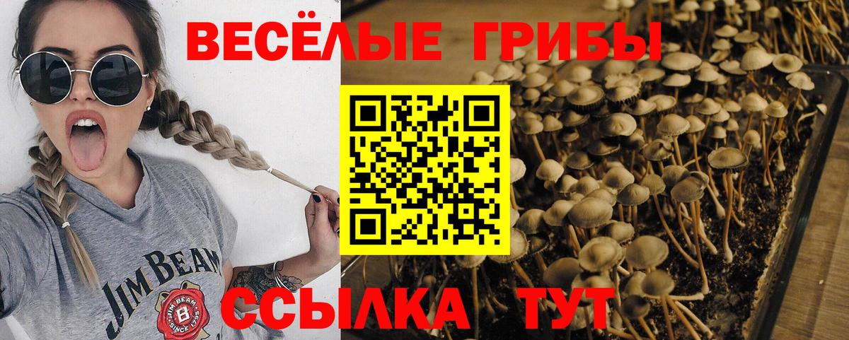 Галлюциногенные грибы ЛСД  Вход с VPN  Галлюциногенные грибы прущие грибы  Белая Калитва 